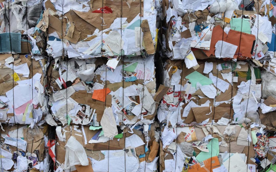 Why is recycling paper so important? The benefits to be known
