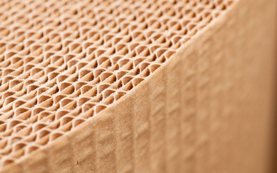 Packaging ecologico in cartone: perché sceglierlo per i tuoi prodotti