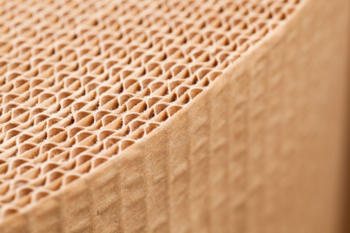 pattern cartone