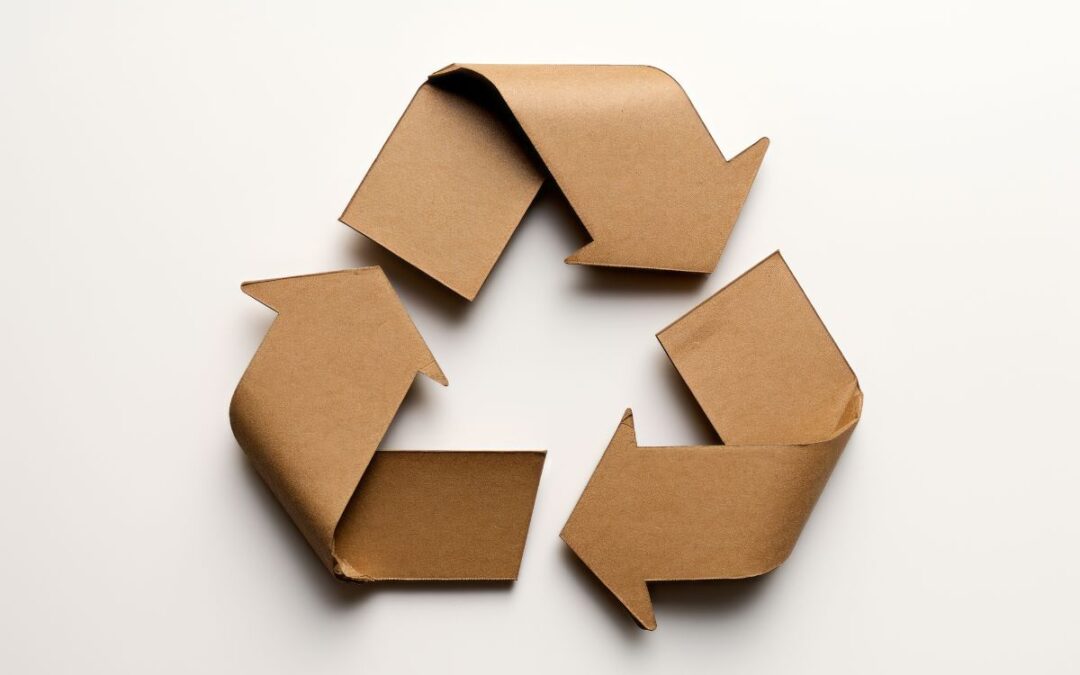 Il ciclo di vita della carta: produzione, uso e riciclo